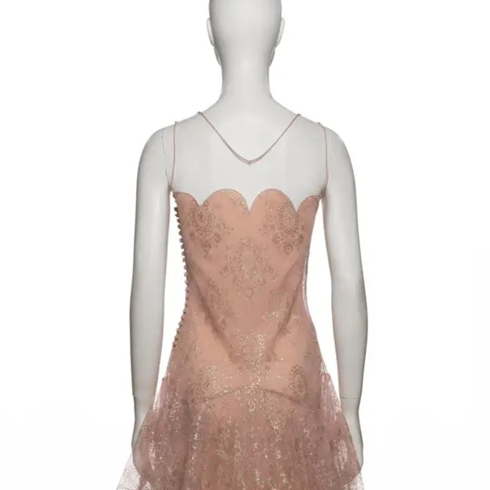 Blush Lace Tulle Evening Gown - Picture 11 of 12